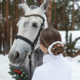 Telegram profile photo for Кони - любовь