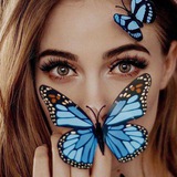 Telegram profile photo for فراشـة🦋.
