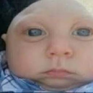 Telegram profile photo for хапов вещает