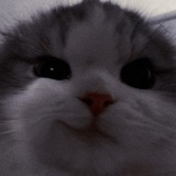 Telegram profile photo for kyzlorda