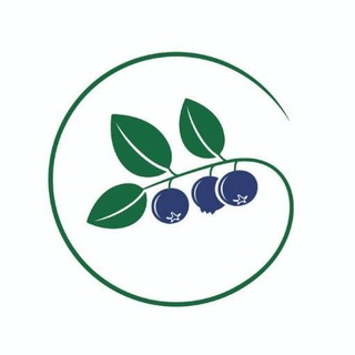 Telegram profile photo for Черника Керамика