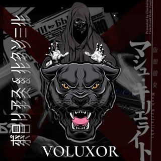 Telegram profile photo for VOLUXOR POST