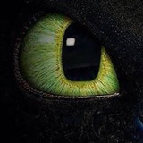 Telegram profile photo for ๐๐ข๐ ๐ก๐ญ๐ง๐ข๐ง๐ ๐๐ซ๐จ๐จ๐๐ฌโข