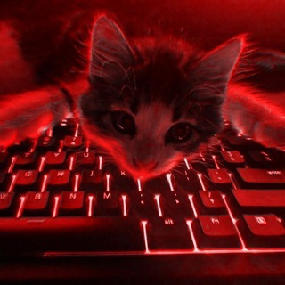 Telegram profile photo for 𝑝𝑟𝑢𝑓𝑦 𝑛𝑜𝑐ℎ𝑛𝑜𝑗