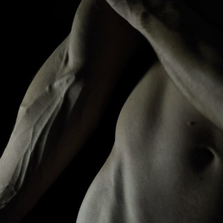 Telegram profile photo for Wood Mood • Photography