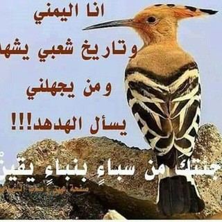Telegram profile photo for صباحيات