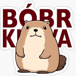 Telegram group profile photo for Bobr Kurwa-your SOL beaver