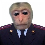 Telegram profile photo for .memes