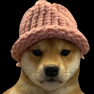 Telegram profile photo for DogWifHat - TON PORTAL