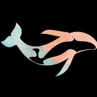 Telegram profile photo for МедиаФан ОFFICIAL