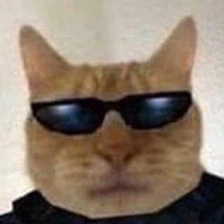 Telegram profile photo for петрикс