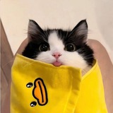 Telegram profile photo for 三位一体揭露