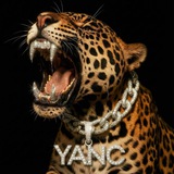 Telegram profile photo for Janz
