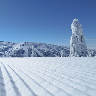 Telegram profile photo for Копаоник ⛷❄️🏂