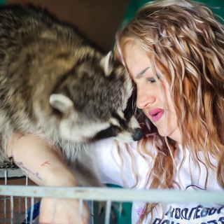 Telegram profile photo for Душа енота +79180299505 ДушаЕнота