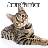 Telegram profile photo for БОРСУК