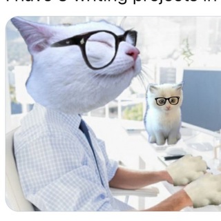 Telegram profile photo for CatTurd