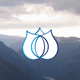Telegram profile photo for Доктор Блохин Александр Геннадьевич.