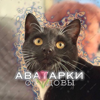 Telegram profile photo for авы от диши𐙚