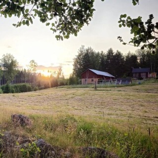 Telegram profile photo for Björngården på Kullen (Bärenhof)