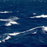 Telegram profile photo for SEA STORE