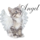 Telegram profile photo for angeline. ♡