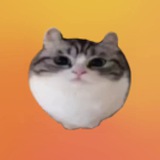 Telegram profile photo for ТАДЖЕК НОВЫЙ ЮЗ