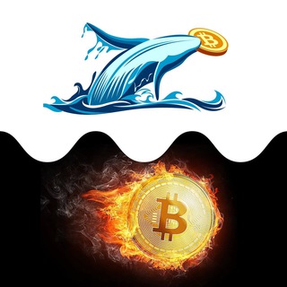 Telegram profile photo for Krypto Whales 🦈
