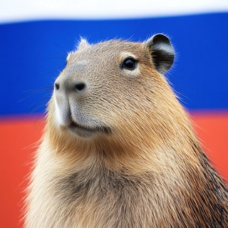 Telegram profile photo for Капибарач