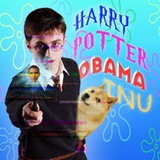 Telegram profile photo for HarryPotterObamaInu Portal