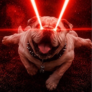 Telegram profile photo for ๐๐ค๐ฒ๐๐๐ฆ๐ฆ๐ฆ๐ฆ๐๐๐