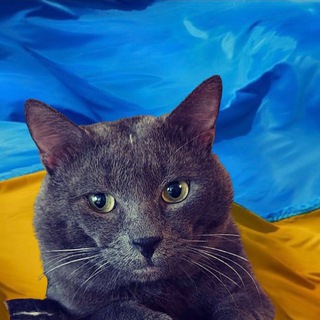 Telegram profile photo for Геліос