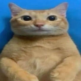 Telegram profile photo for кластик рисует и не только