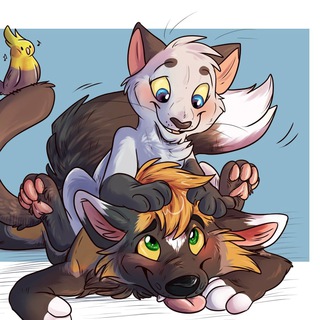 Telegram profile photo for Любителям Кошек и Собак