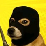 Telegram profile photo for TG Buy Update (值得信赖)