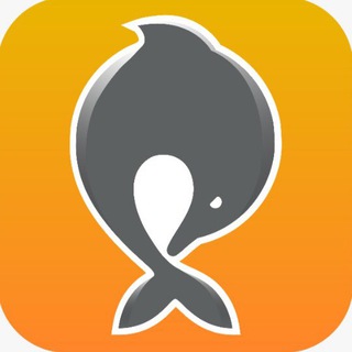 Telegram profile photo for BerimKish | بریم کیش