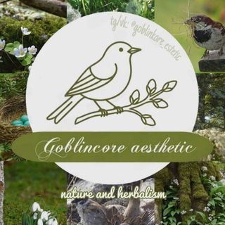 Telegram profile photo for 🌱 Goblincore ☀ | Гоблинкор