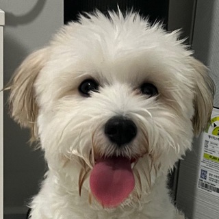 Telegram profile photo for kku의 크립토 일기장