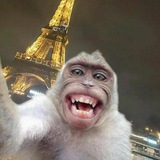 Telegram profile photo for Отзывы