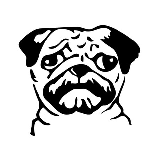 Telegram profile photo for Il Carlino Ubriaco