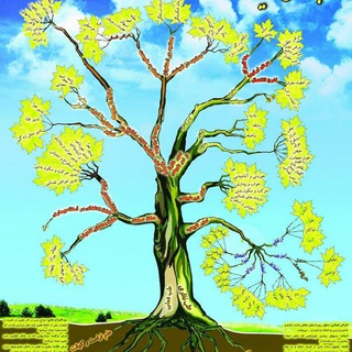 Telegram profile photo for کتب طبی(تخصصی)
