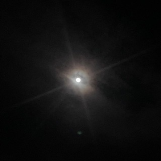 Telegram profile photo for Блуждающие вампиры