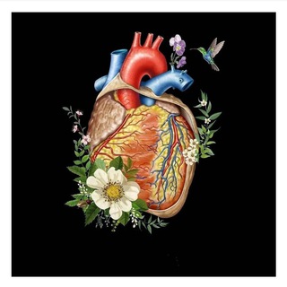 Telegram profile photo for Usefull books for cardiology