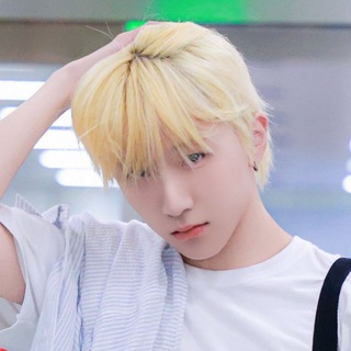 Telegram profile photo for ㅤ honey dove