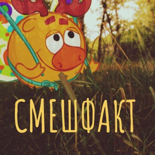 Telegram profile photo for Сʍᥱɯɸᥲκᴛ️🌿