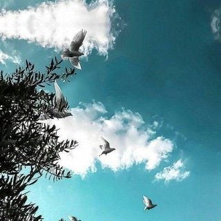Telegram profile photo for الحارث