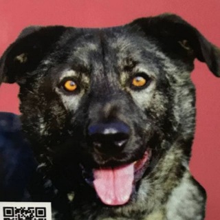Telegram profile photo for 🤬 ИГОРЯТОЧНАЯ 😎