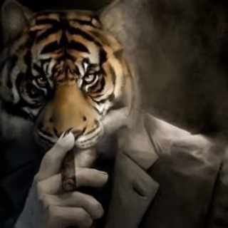 Telegram profile photo for tonfal gamble ❘ TON SZN