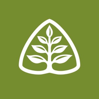 Telegram profile photo for 林格尼尔福音事工