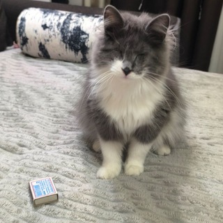 Telegram profile photo for Вас слышно